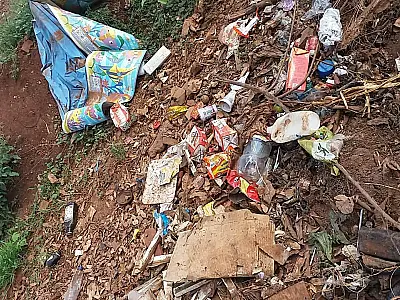 Campo Grande registra queda nos casos de Dengue