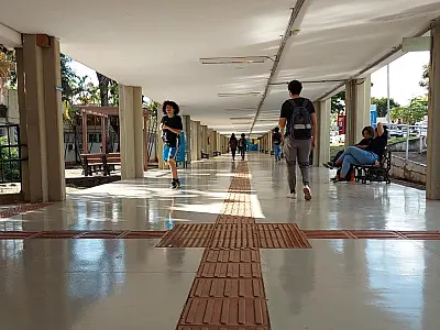 Trajetórias rumo ao ensino superior