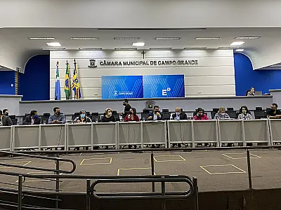 Audiência Pública debate a regulamentação de profissionais de Serviço Social e Psicologia no Fundeb