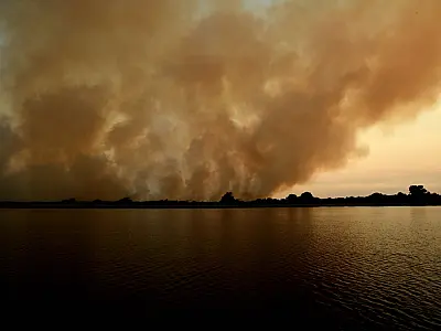 Pantanal de Mato Grosso do Sul teve 7,12% de seu território consumido pelo fogo em 2021