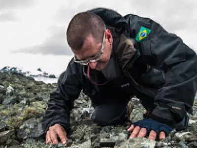 Pesquisadores da UFMS participam de expedições científicas na Antártica