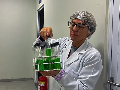 Bancos de leite humano de Campo Grande estão com baixo estoque