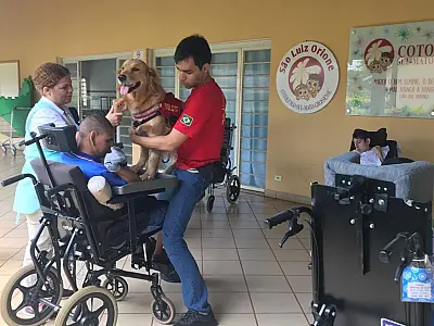 Projeto "Cão Herói, Cão Amigo" auxilia no tratamento de crianças com deficiência
