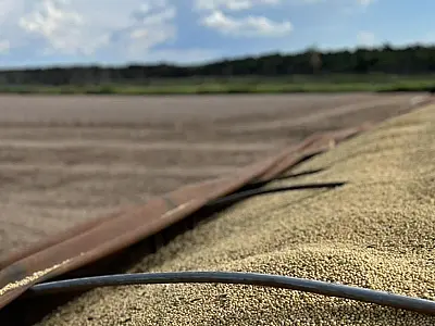 Exportações agrícolas e industriais de Mato Grosso do Sul aumentam em 2023