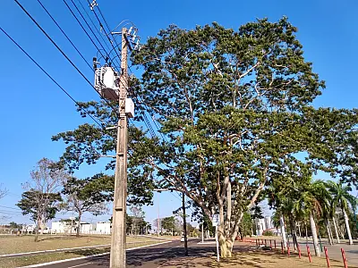 Número de acidentes com energia elétrica aumenta 44,4% em Mato Grosso do Sul