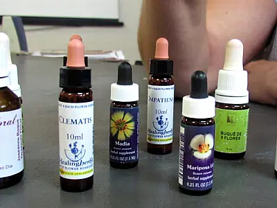 Sistema Único de Saúde inclui a Terapia Floral como forma alternativa de tratamento