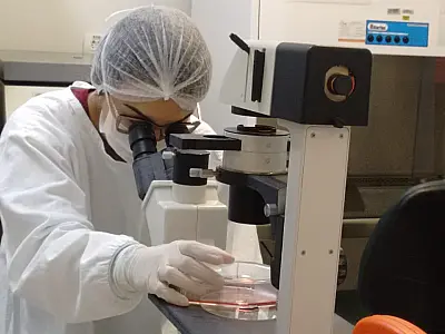 CeTroGen realiza pesquisa com células-tronco para tratamento de osteoartrite