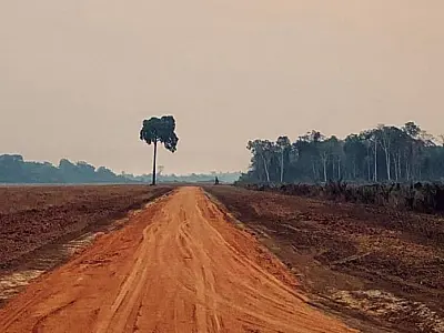 Mato Grosso do Sul implementa novos sistemas de monitoramento para preservação ambiental