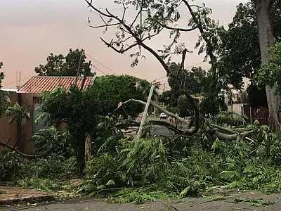 Tempestade de areia provocou queda de árvores e falta de energia na capital