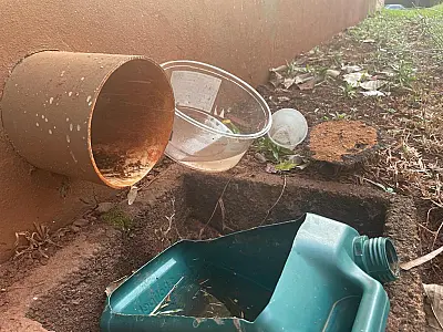 Casos de Dengue aumentam 80% em Mato Grosso do Sul