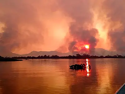 Pantanal em chamas