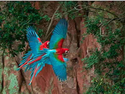 Ecoturismo  promove desenvolvimento sustentável em Mato Grosso do Sul