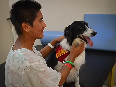 Hospital de Campo Grande utiliza cães para terapia complementar