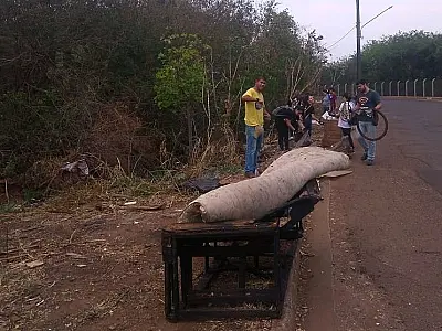 Dia Mundial da Limpeza ocorreu pela segunda vez em Campo Grande com adesão de 650 voluntários