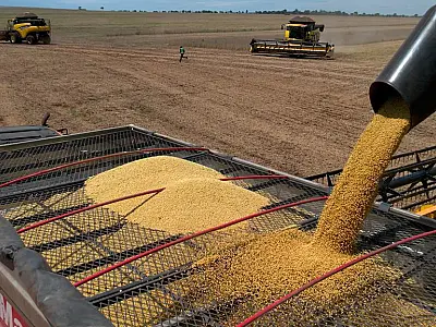 Produção de soja alcança 15 milhões de toneladas em Mato Grosso do Sul