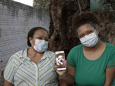 O luto pela morte dos animais domésticos