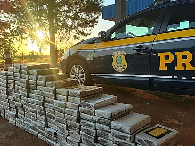 Mato Grosso do Sul registra crescimento de 31,98% nas apreensões de drogas
