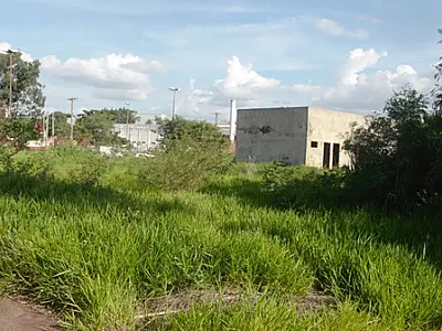 Número de casos de dengue aumentam 100% em Campo Grande