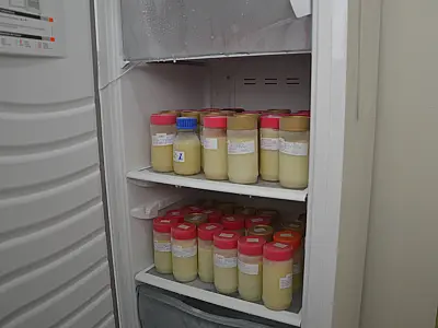 Aumenta o estoque de leite materno em Bancos de Leite na capital