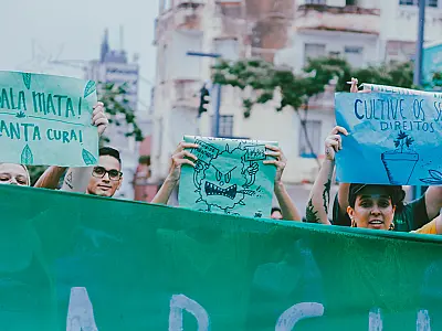 Maconha, uma medicina possível