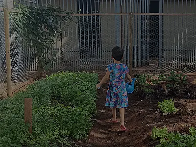 Espera por uma família