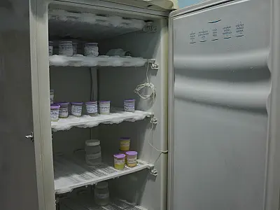 Banco de Leite Humano do Hospital Universitário tem estoque para atender demanda de três dias
