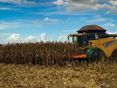 Setor agrícola de Mato Grosso do Sul registra recorde de produção na Safra 2023