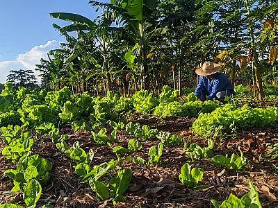 Famílias em vulnerabilidade social receberão doação de alimentos na capital