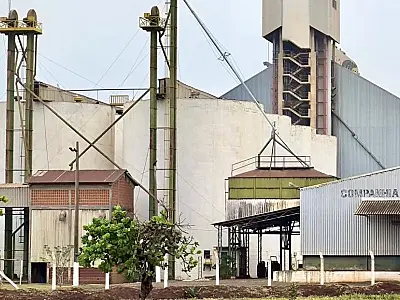 Safra de soja no estado terá recorde histórico de produção com 13,9 milhões de toneladas em 2024