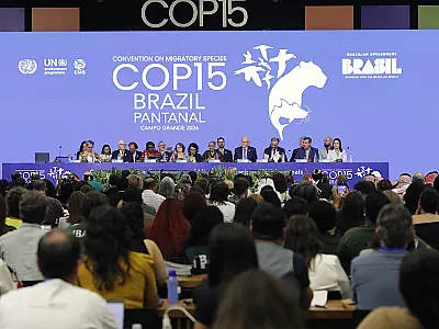 Ariranha entra para listas de espécies migratórias ameaçadas de extinção