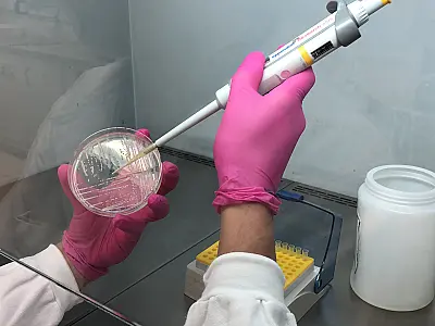 Universidades de Mato Grosso do Sul recebem recursos para pesquisas em tecnologia na agricultura