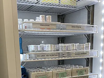 Fila de pacientes a espera de transplante de órgãos no estado ultrapassa 500 pessoas