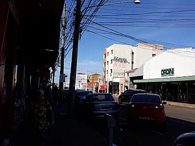 Região central de Campo Grande possui cerca de 550 conflitos de arborização urbana