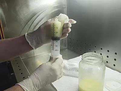 Pandemia impacta estoques de leite humano em Mato Grosso do Sul