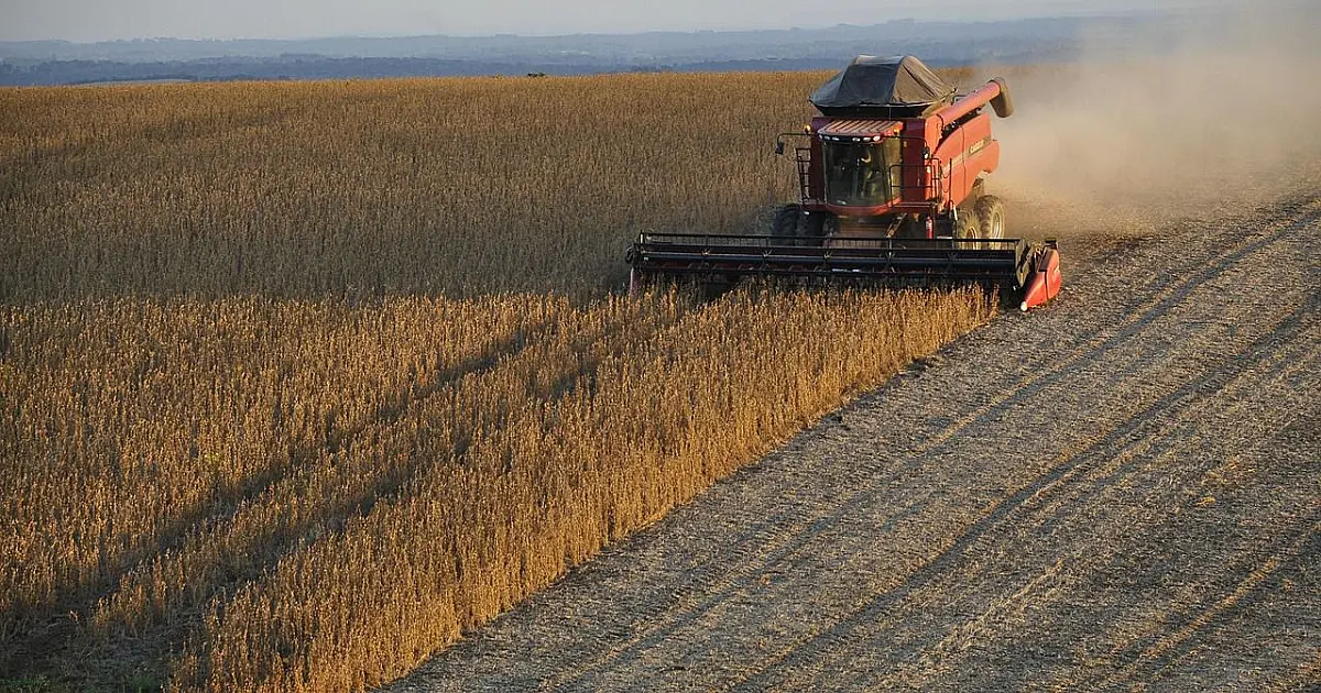 Safra de soja em Mato Grosso do Sul tem rendimento 26% maior à safra 2024/2025