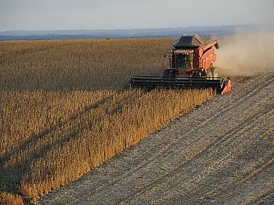 Safra de soja em Mato Grosso do Sul tem rendimento 26% maior à safra 2024/2025
